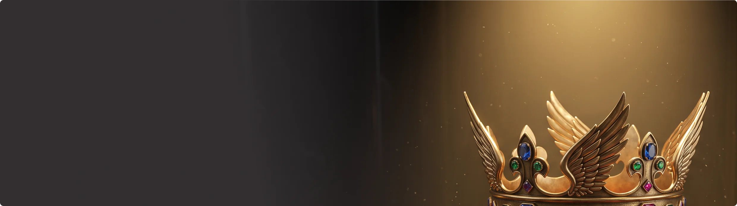 banner2